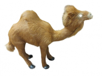 Kamel 20 cm hoch - zu 10-15 cm Figuren oder als Jungtier